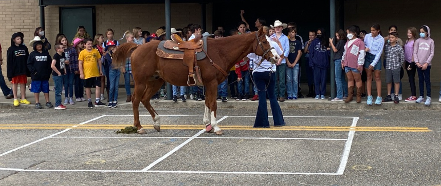Picture of Helotes Bulldogs learning about horses from Alexis Wanke