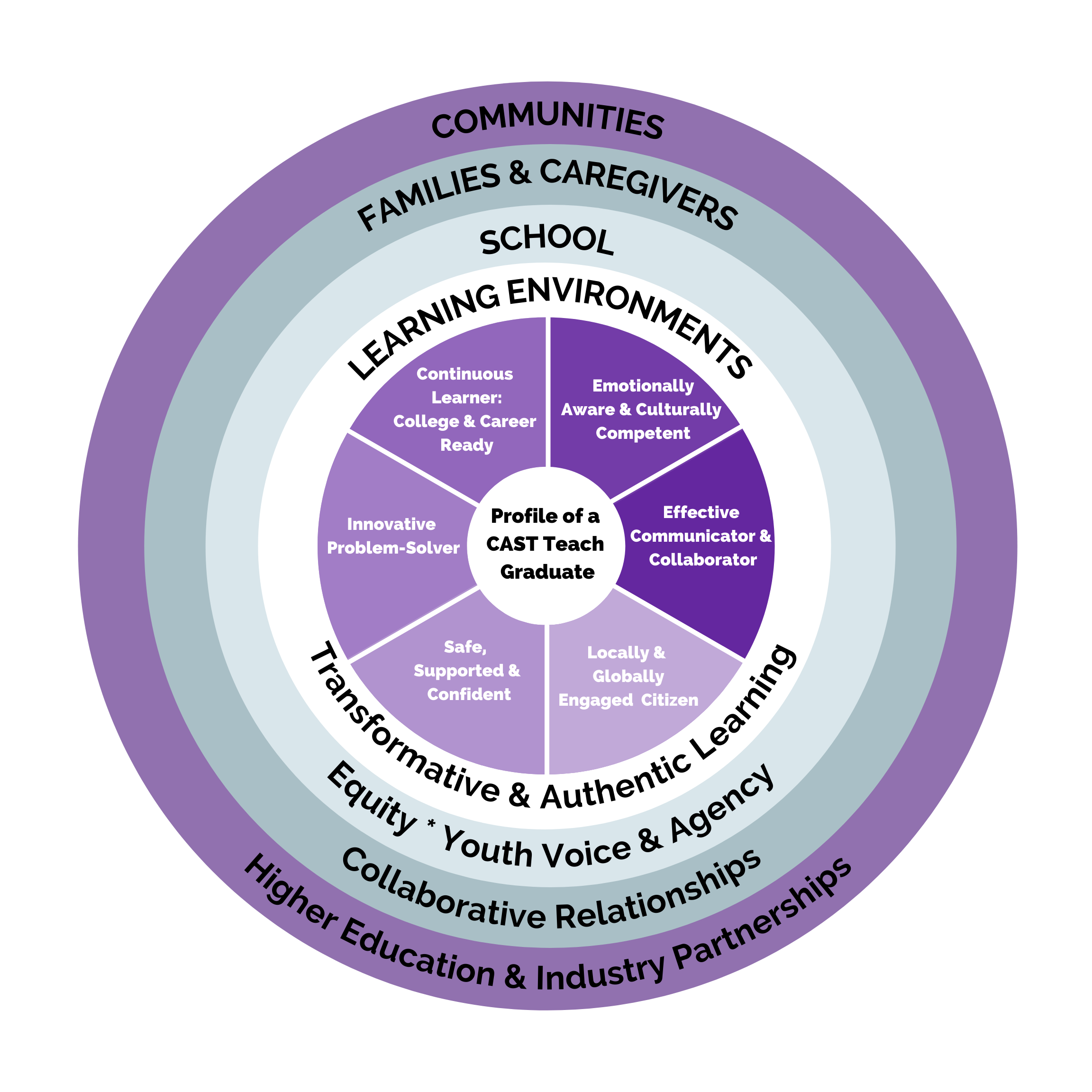 Framework of a CAST Teach Graduate