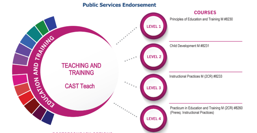 Teaching and Training Pathway graphic