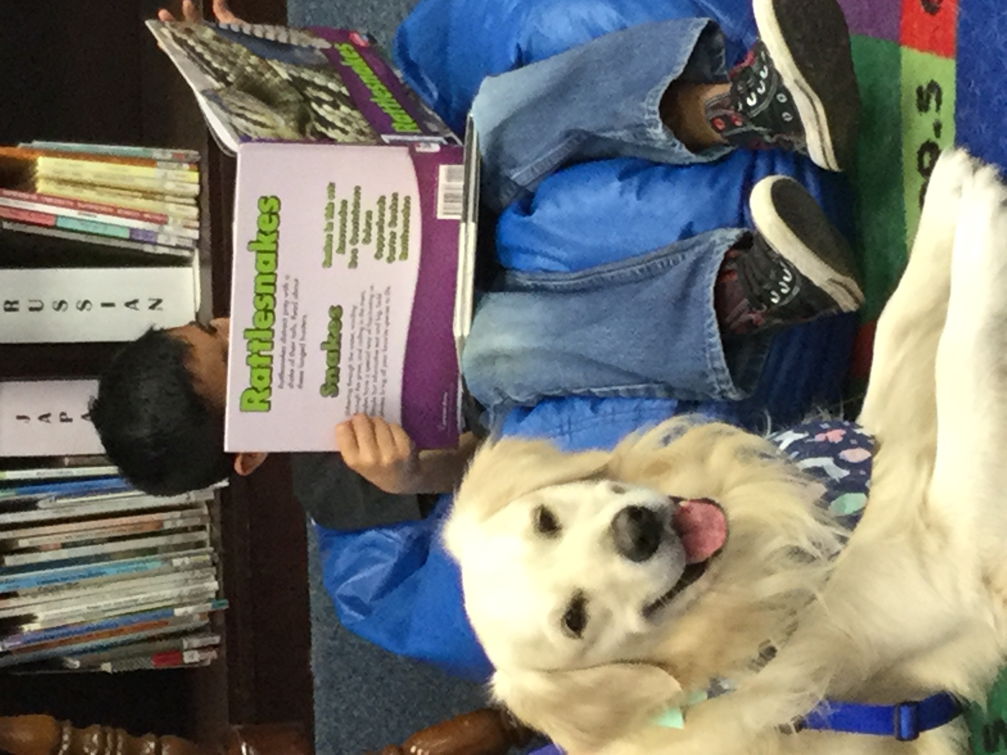 Paws up to Reading- Student is reading to the dog