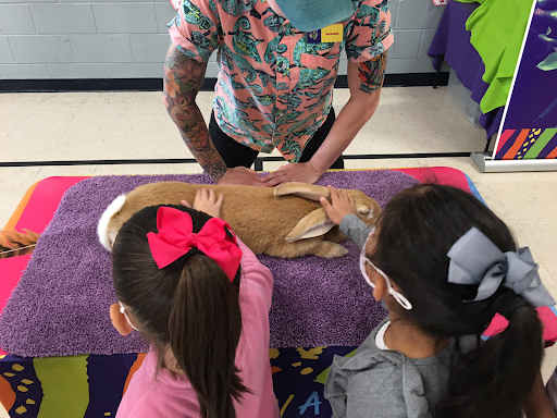 Students Petting an Rabbit