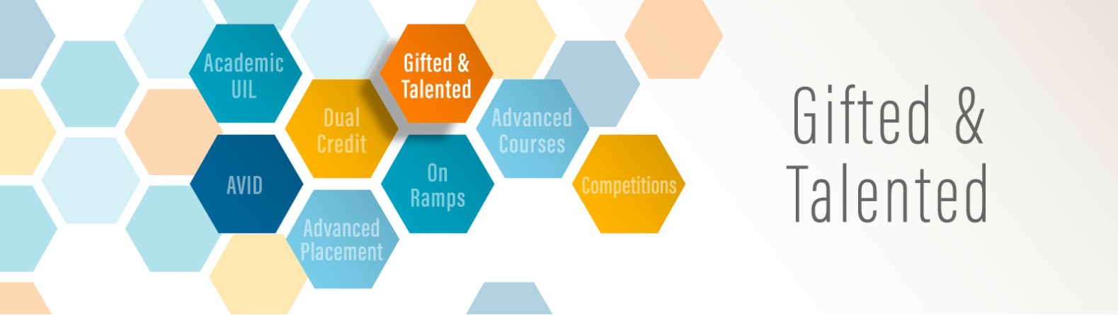 Gifted and Talented banner image