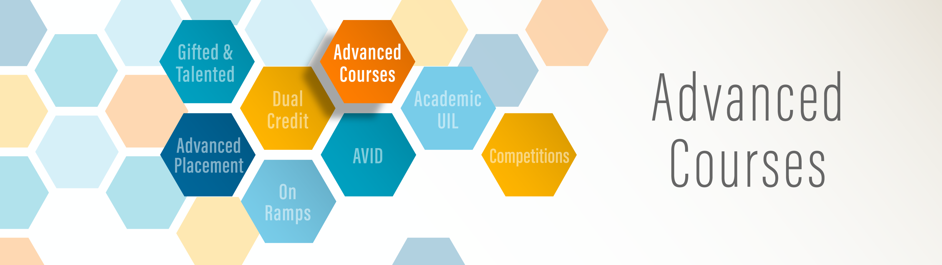 Advanced Courses