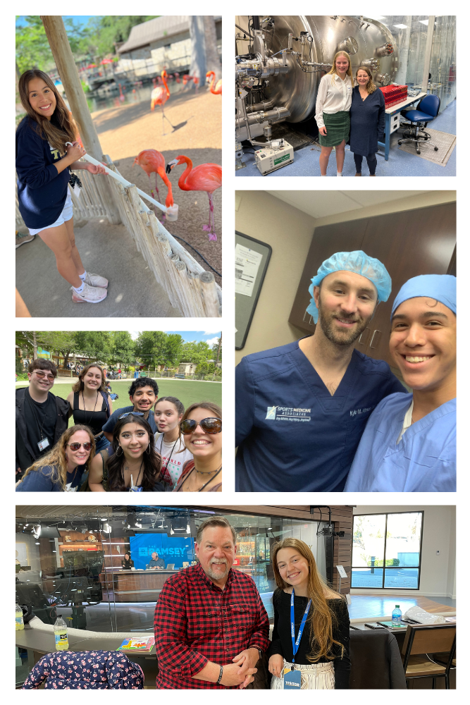 GT Students mentorships