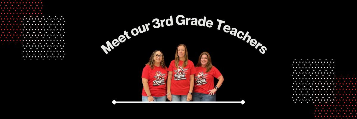 Image of the 3rd grade team