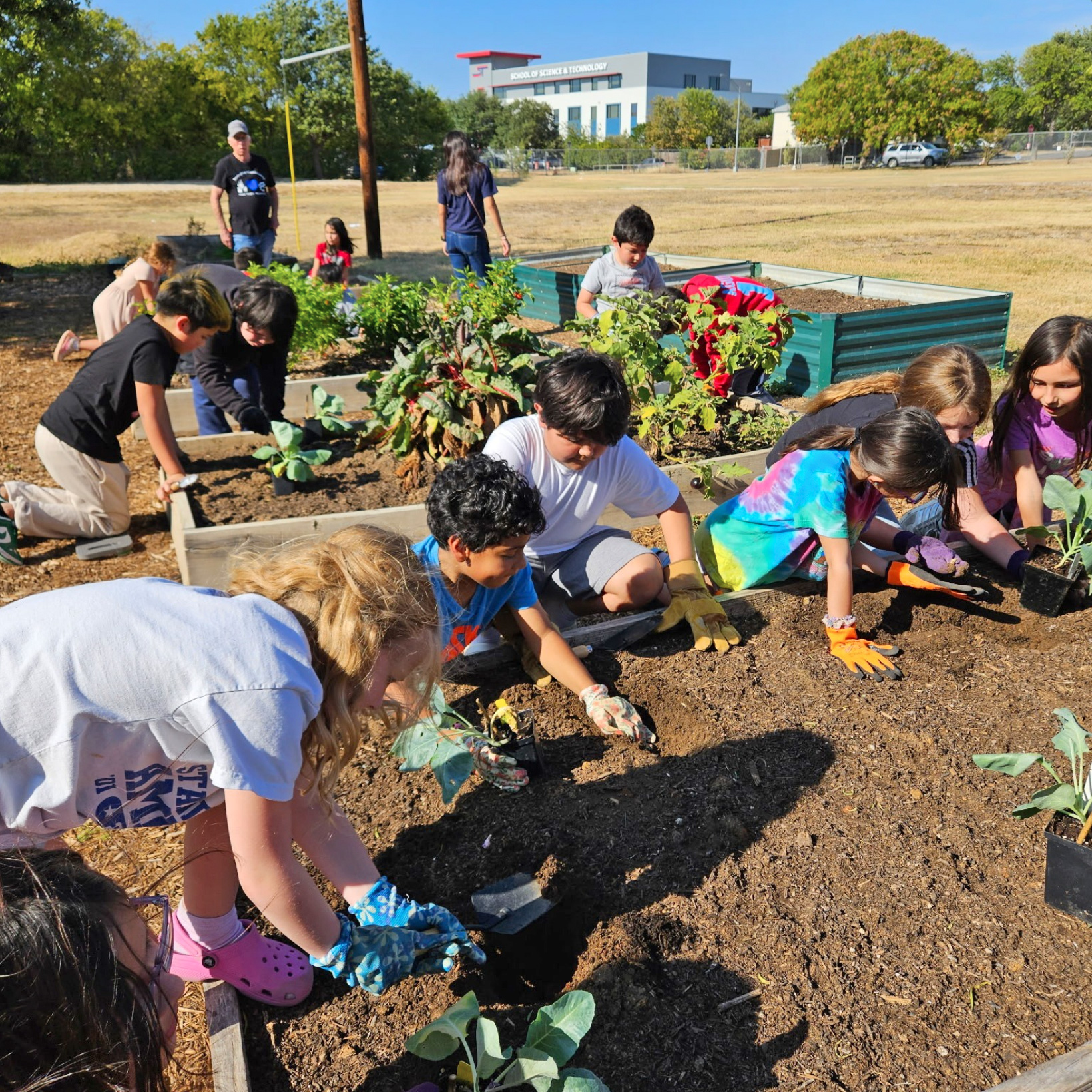 Students gardening