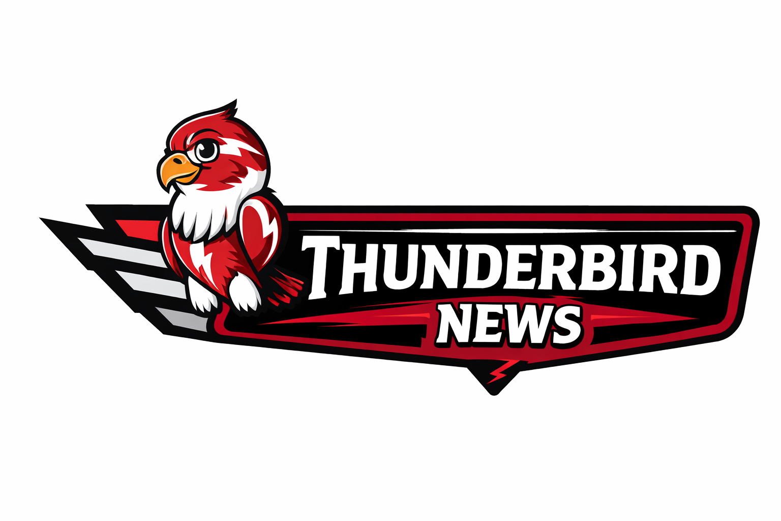 Colorful Thunderbird News Banner