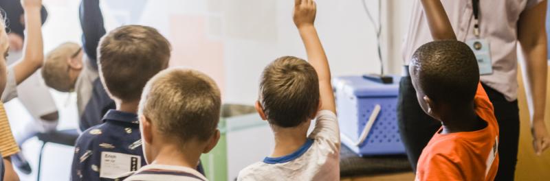 Students raising their hands