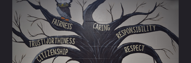 6 Pillars of Character