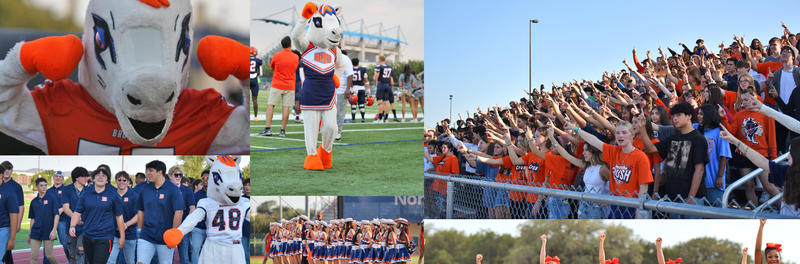 Collage of various brandeis organizations and mascot