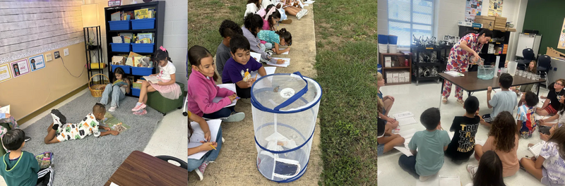 A collage of Students at Cole Elementary 