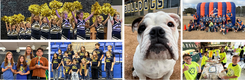 Extracurricular page showing students, bull dog, apex, and principal