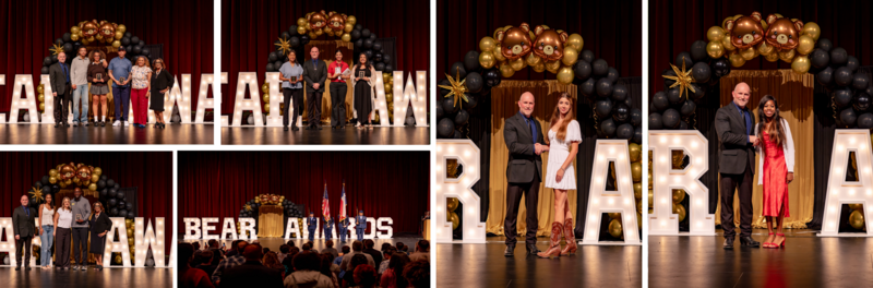 Brennan Bear Awards Collage