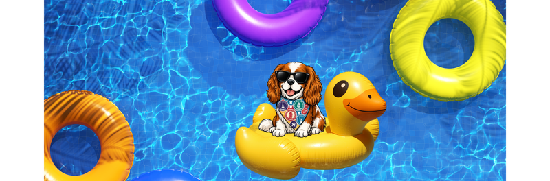 Charlie the school mascot in the pool as part of a year of adventures.