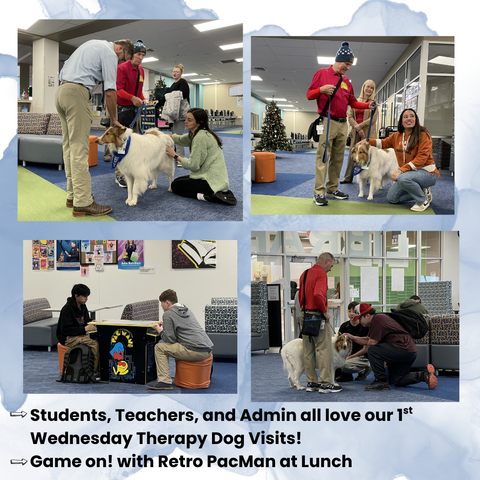 Therapy Dog