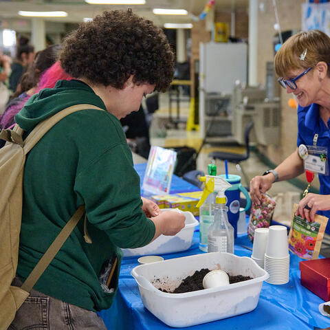 holmes community fair