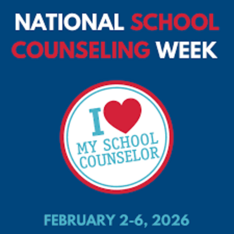 school counseling week