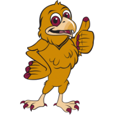 Fields Elementary Maroon and Gold Falcon Mascot 