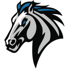 Straus Mavericks Logo