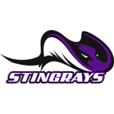 Vale Stingray Logo