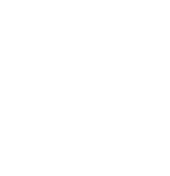 Learning Tree Logo - White